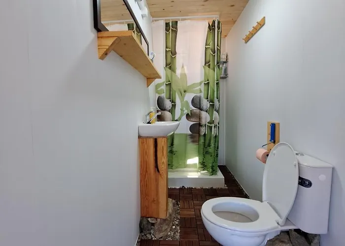 Holiday home лимонада